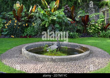 Somerset Front viktorianischen Layout Garten mit mediterranem Feeling aufgrund der lokalen Mikroklima. Seltene Sträucher Grenzen und subtropische Pflanzen umgeben Rasen Stockfoto