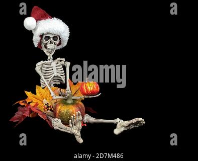 Halloween Skelett mit Weihnachtshut mit einem Kürbis im Herbst Blätter isoliert auf schwarz Stockfoto