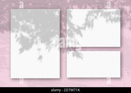 Mehrere horizontale und vertikale Blätter aus weißem strukturiertem Papier vor einem rosa Wandhintergrund. Mockup mit einer Überlagerung von Pflanzenschatten. Tageslicht Stockfoto