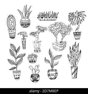 Set von Konturillustrationen von Hausblumen mit Mustern. Linie Kunst Pflanzen. Vektorobjekt für Postkarten, Malbücher und Ihre Kreativität. Stock Vektor