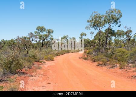 Rote Bodenstraße und blühende Eingeborene auf dem Weg zur Sawpit Gorge im White Mountains National Park, Queensland Stockfoto