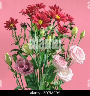 Bouquet von schönen Chrysanthemen und eustoma Blumen in natürlichem Licht auf einem rosa Hintergrund. Stockfoto