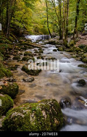 Ein schöner Gebirgsbach mit kleinem Wasserfall im Herbstwald Querformat Stockfoto