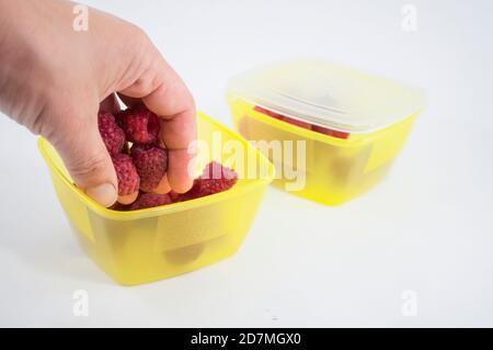 Die Hand der Frau steckt Himbeeren in eine Plastikbox. Kochen Vitaminfutter für das Mittagessen, auf einem hellen Hintergrund Stockfoto