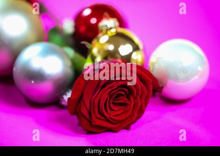Rote Rose mit weihnachtskugeln auf rosa Hintergrund Stockfoto