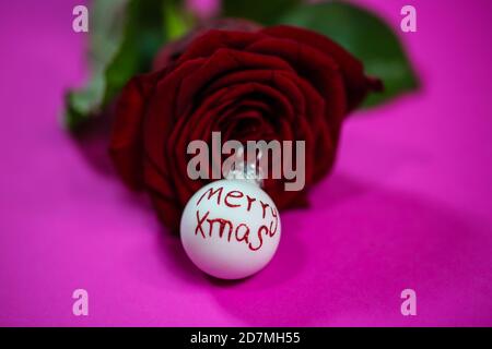 Rote Rose mit weihnachtskugeln auf rosa Hintergrund Stockfoto