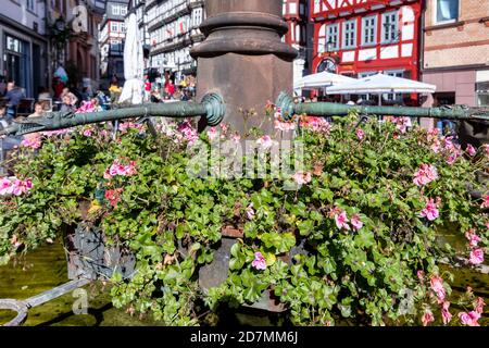 Blumen am Marktbrunnen in Marburg Stockfoto