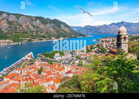 Blick auf die Bucht von Kotor, die Kirche unserer Lieben Frau von Remedy und die Dächer der Altstadt, Montenegro Stockfoto