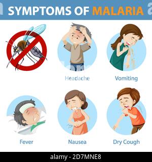 Symptome der Malaria Cartoon Stil Infografik Illustration Stock Vektor