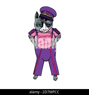 Zeichentrickfigur der funky Katze in sowjetischer Militärform mit Inschrift "General der Liebe", handgezeichnete Doodle-Skizze, isolierte Farbillustratio Stockfoto