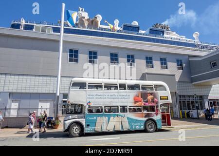 Gray Line Hop On Hop Off Vintage London Doppeldecker Routemaster Bus Am Halifax Kreuzfahrtschiff Terminal Nova Scotia Kanada, Bus Werbung Wrap Canadia Stockfoto