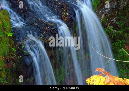 Atemberaubend - Wasserfall - Serene - Tiere im Spiel - Energie - Kristall - damit wir nicht vergessen - Erinnerung - Einzelsoldat - Mohn - Outdoor Stockfoto