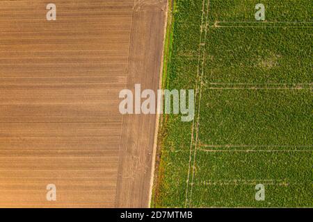 Ein gepflügeltes Feld mit einem braunen Ackerboden daneben Ein grünes Feld im Süden Deutschlands entnommen Oben Stockfoto