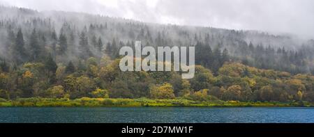 Neblige/neblige Wälder am See in der Herbstsaison - regnerischer Tag Stockfoto