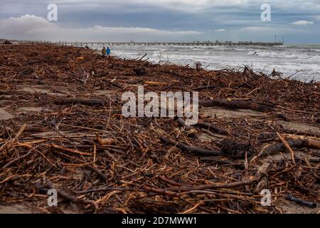 Forte dei Marmi: Im Winter hat ein großer Sturm Holz und Baumstämme am Strand angesammelt Stockfoto