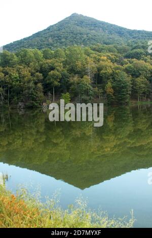 Gipfel von Otter, Virginia, Blue Ridge Parkway, USA. Blick auf Sharp Tops Spiegelung im Abbott Lake im Sommer. Stockfoto