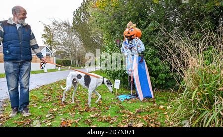 Worthing UK 24. Oktober 2020 - dieser Hund ist nicht ganz sicher, was man von einer der hundert Vogelscheuchen machen soll, die dieses Wochenende im Dorf Ferring bei Worthing erschienen sind, als ihr Vogelscheuchen-Festival diese Woche stattfindet : Credit Simon Dack / Alamy Live News Stockfoto