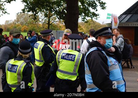 Hyde Park, London, Großbritannien. 24. Oktober 2020. Weitere Maßnahmen von Anti-Lockdown-Demonstranten, die sich im Hyde Park in London treffen und protestieren. Es wird keine soziale Distanzierung beobachtet und keine Masken von den Begleitenden getragen. Foto: Paul Lawrenson-PAL Media/Alamy Live News Stockfoto