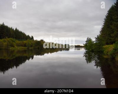 Cod Beck Reservoir, Osmotherley, England an einem bewölkten und duschigen Herbsttag. Stockfoto