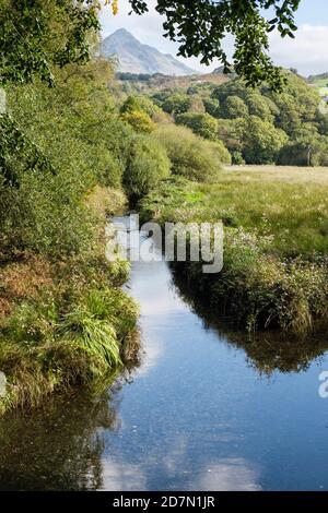 Afon Croesor River gesäumt von Himalayan Balsam (Impatiens glandulifera) wächst an Flussufern mit Cnicht Beyond in Snowdonia. Gwynedd, Wales, Großbritannien Stockfoto