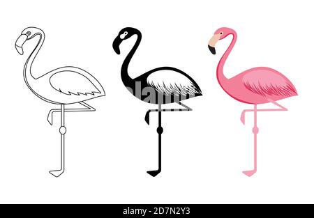 Umriss und Silhouetten Flamingo Vektor isoliert auf weißem Hintergrund. Vogel Flamingo Silhouette und Umriss Illustration Stock Vektor