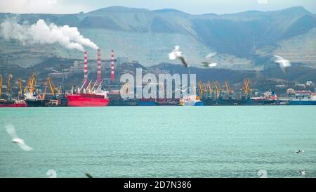 Möwen fliegen über ruhiges blaues Meerwasser gegen große Einheimische Hafen mit bunten Hafenkranen und Hügeln am Horizont Stockfoto