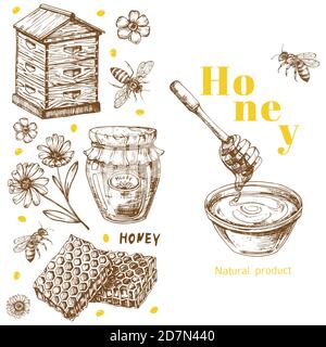 Retro Vektor Honig Hintergrund Vorlage mit handgezeichneten Elementen. Illustration von Honigbiene Jahrgang, Gesundheit natürlich süß Stock Vektor