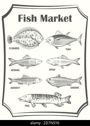Hand skizziert verschiedene Fisch Vektor-Poster-Vorlage. Banner zum Fischmarkt. Illustration von Meeresfrüchtemarkt, Fisch zum Kochen Stock Vektor