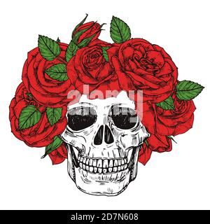 Handgezeichneter Schädel mit Rosen Kopf Kranz Vektor isoliert auf weißem Hintergrund. Totenkopf tot, vintage Kopf gezeichnet mit Blumen Illustration Stock Vektor