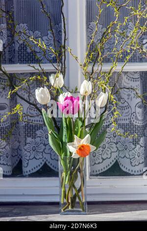 Tulpen in Vase Tulpen Vase auf Fensterbank Märzblumen Narzissen Blume Weide Äste Blumen Vase außerhalb des Fensters Anfang Frühling Stockfoto