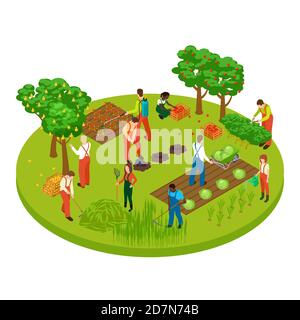 Gartenarbeit Arbeiter, Obstbaum und Pflanzen isometrische Vektor-Illustration. Gartenarbeit und Landwirtschaft, Anbau ländliche Bio-Ernte isometrische Stock Vektor