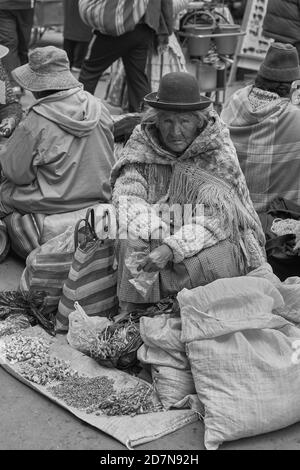 Ältere Dame in Melone Blütenköpfe auf einem Straßenmarkt in der Bergbau-Stadt Oruro auf dem Altiplano in Bolivien zu verkaufen. Stockfoto