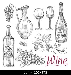 Skizze Wein Vektor Elemente - Flaschen, Gläser, Trauben und Krug. Illustration von Alkoholgetränk, Getränk in Krug, Weinflasche Stock Vektor