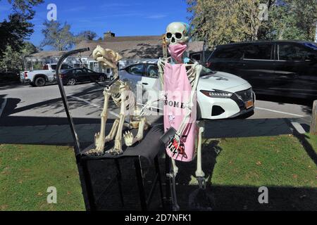 Scarecrow Wettbewerb Stony Brook Village Long Island New York Stockfoto