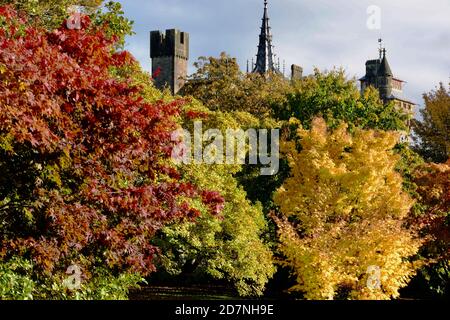 Ein schöner sonniger Herbsttag am Roath Park Lake, Cardiff, Wales. Die Blätter haben begonnen, ihre Farbe zu ändern und spiegeln sich im noch kalten Wasser. Stockfoto