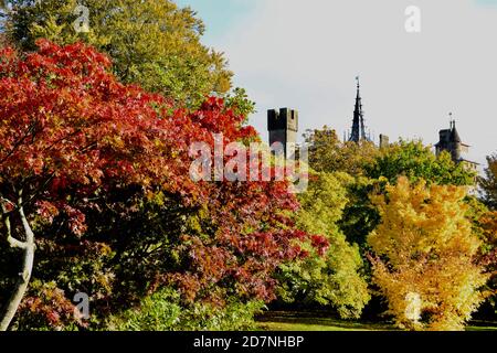 Ein schöner sonniger Herbsttag am Roath Park Lake, Cardiff, Wales. Die Blätter haben begonnen, ihre Farbe zu ändern und spiegeln sich im noch kalten Wasser. Stockfoto