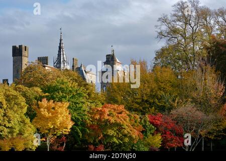 Ein schöner sonniger Herbsttag am Roath Park Lake, Cardiff, Wales. Die Blätter haben begonnen, ihre Farbe zu ändern und spiegeln sich im noch kalten Wasser. Stockfoto