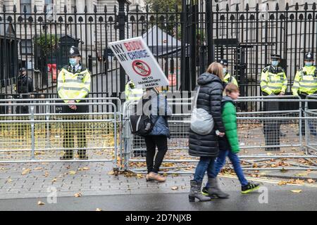 London UK 24 October 2020 Anti-Lockdown , Anti-Impfstoff, Anti-Regierung und Anti-Masken Demonstranten, stieg in ihren Tausenden auf den platz des parlaments, um gegen die neuen Maßnahmen der Regierung gegen Covid-19 Paul Quezada-Neiman / Alamy Live News Stockfoto