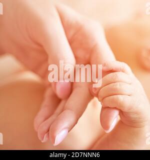 Winziger Finger des Neugeborenen. Mutter hält kleine Hand. Zwei Personen. Gesundheitskonzept Stockfoto