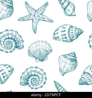 Seashells Nahtloses Muster. Meeresmuschel Sommer Ozean Textur. Seesterne wiederholen Vektor vintage Skizze Hintergrund. Abbildung der Muschel Zeichnung Hintergrund Stock Vektor