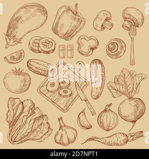 Bio frisches Gemüse handgezeichnete Skizze Sammlung. Vector Bio frisches Gemüse, Zeichnung Tomaten und Auberginen Stock Vektor