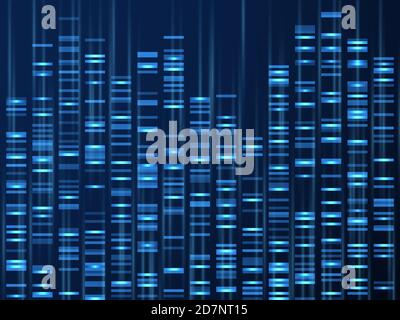 Visualisierung genomischer Daten. DNA-Genomsequenz, medizinische genetische Karte. Genealogie Barcode Vektor Hintergrund. Illustration der Visualisierung dna, genetische und genealogische Textur Stock Vektor