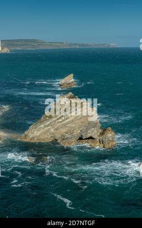 Mupe Bay und Mupe Rocks, Blick nach Osten entlang der Kreidefelsen nach Worbarrow Bay, Jurassic Coast WHS, Dorset. Stockfoto