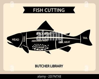 Fisch Fleisch schneiden Vektor Vintage-Diagramm, Schnitte führen Diagramm. Illustration von Chart Cut Fisch, Schwanz und Kopf, Rücken und Bauch Stock Vektor