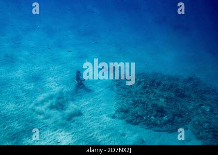 Freitaucher sitzt auf Meeresboden in klarem Wasser Hawaii Stockfoto