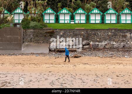 Langland Bay, Swansea, Großbritannien. Okt. 2020. Ein eingefleischter Wanderer trotzt dem Wetter in der Langland Bay bei Swansea an diesem Nachmittag, am ersten ganzen Tag der landesweiten Sperre von Wales im Oktober aufgrund des Coronavirus. Quelle: Phil Rees/Alamy Live News Stockfoto