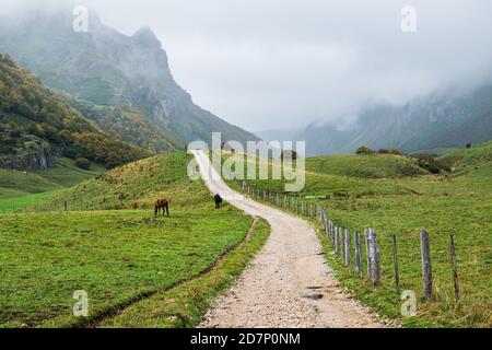 Herbstregen im Somiedo Nationalpark in Asturien, Spanien. Malerische Berglandschaft von Nordspanien. Stockfoto