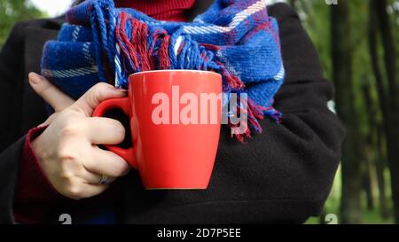 Eine rote Tasse Kaffee und ein Buch mit einer blau karierten Wolldecke oder einem karierten Tuch in den Händen einer Frau, die einen Pullover und einen schwarzen Mantel im Park trägt. W Stockfoto