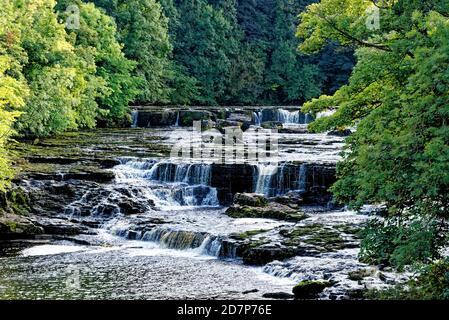 River Ure Upper Falls of the Aysgarth Falls im Yorkshire Dales National Park, North Yorkshire, England Stockfoto