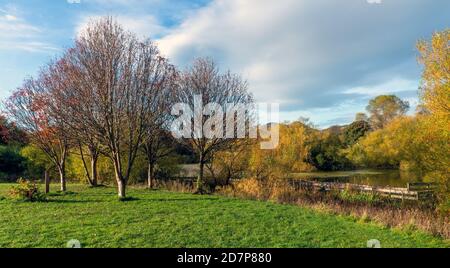 Loch am Figgate Park, wo zu bestimmten Zeiten des Jahres viele Wildtiere leben, Edinburgh, Schottland, Großbritannien Stockfoto